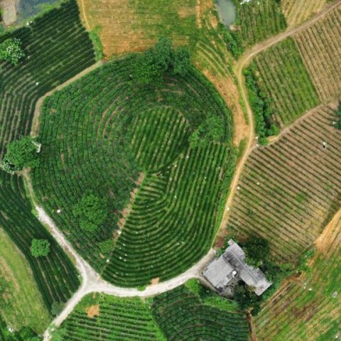 z3583698602433_7a0d292b2f1d179e096eb188430c66fb