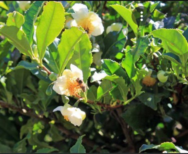 Bắt đầu từ nhận thức