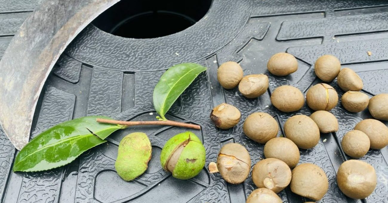 z3572433470587_c06af9f239f808929117e5c36a5666e2