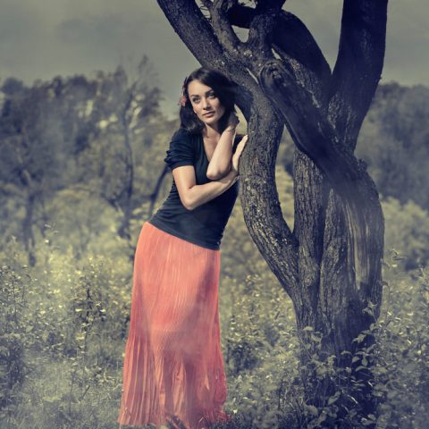 In The Wood