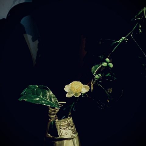 z3562404247176_1ca0ca780ad98aad2a640d321891236b