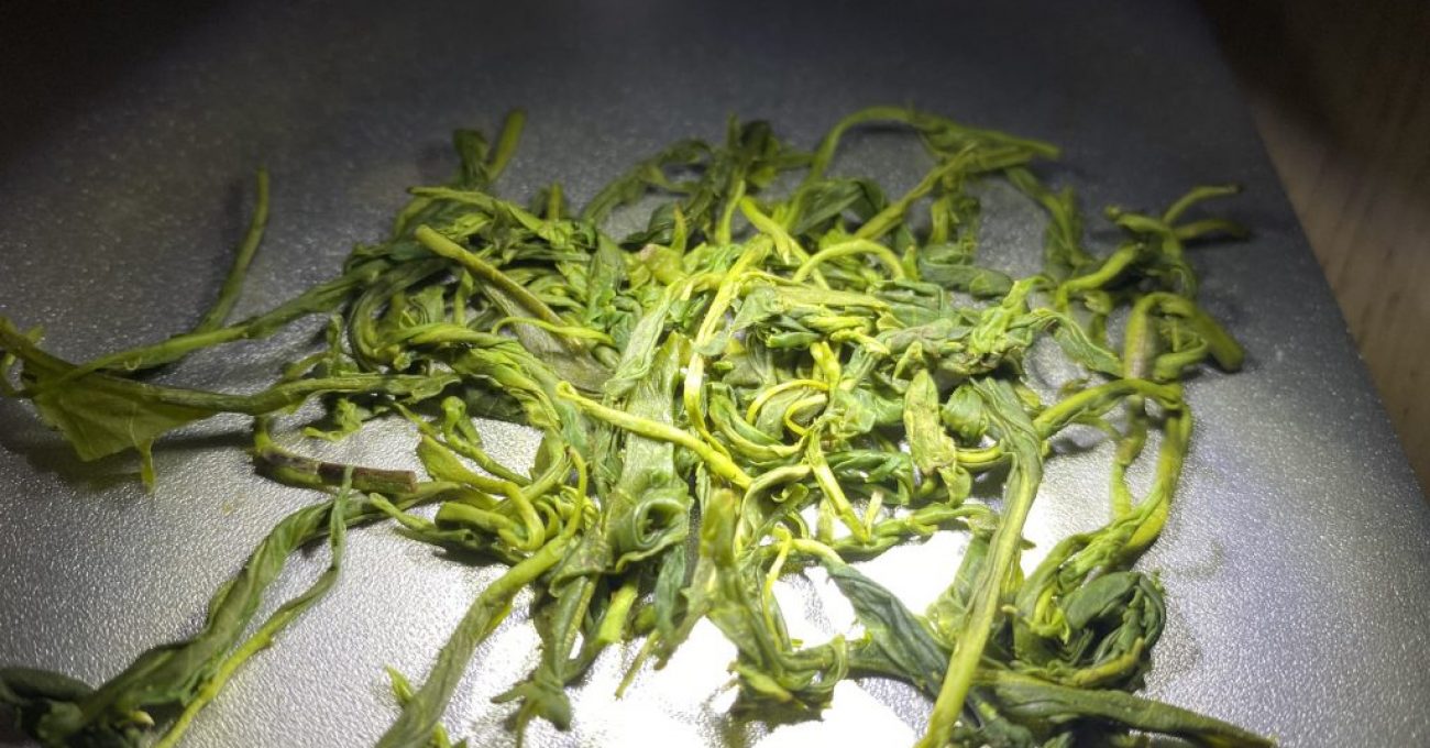 z3584790457592_e2c6dcb5b0221313c0fd3626aab0cceb